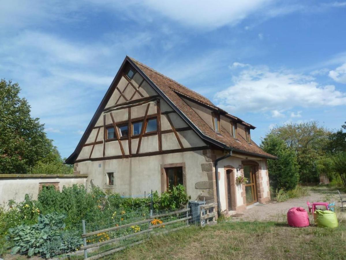 Gite Les Cigognes Neuwiller-les-Saverne Экстерьер фото